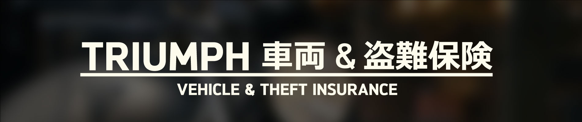 TRIUMPH 車両＆盗難保険